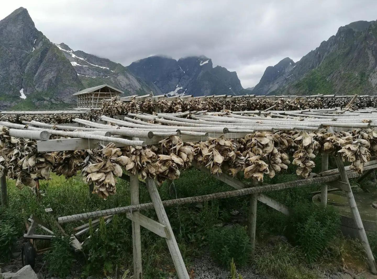 Lofoten Panoramic Luxury Home With Sauna Moskenes Exterior foto